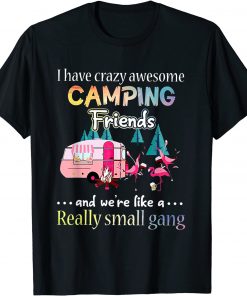 I Have Crazy Awesome Camping Friends And We're Like A Gang T-Shirt